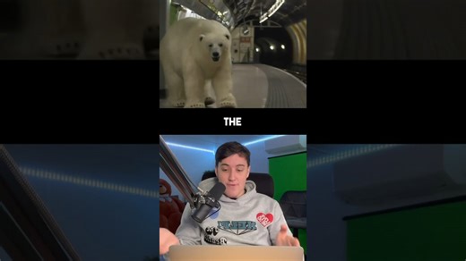 Why reports of a polar bear sighting in London spread widely