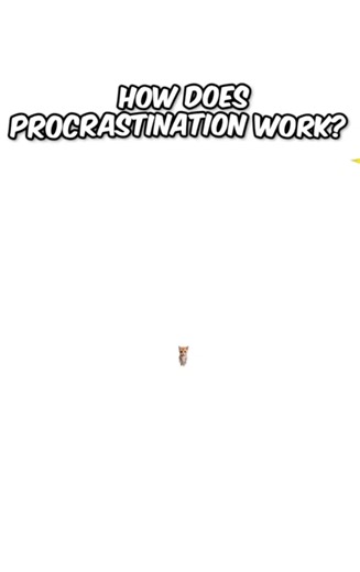 22K views · 666 reactions | How does procrastination work? #fyp #phdkitten #phdkitty | Phdkittyofficial | Facebook