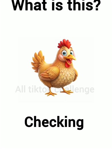 Fun Learning Game: Guess the Chicken!