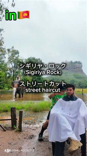 すみません山街不純です。/世界一周中 | ආයුබෝවන්🇱🇰 スリランカはシーギリヤにやって参りました！ 世界遺産のシギリヤロック🪨がありますが 僕はお金が高かったので登らず、、、 節約旅なので、シビアに行きます その癖にいらんもんばっか買ってまう笑 話外れましたが... | Instagram