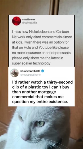 Missing Kid-Only Commercials from Nickelodeon and Cartoon Network