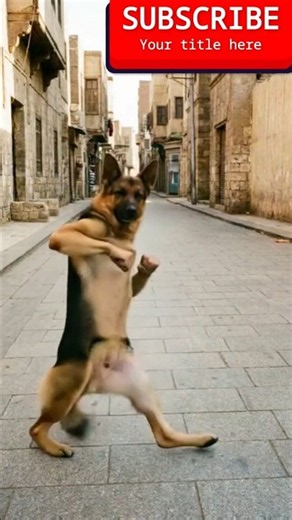 🐶 Title:German Shepherd's Hilarious Dance Moves Will Make Your Day! 😂🐕