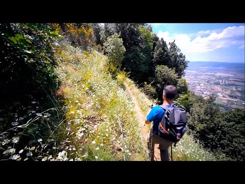 The St. Francis Camino: A Spiritual Walking Pilgrimage