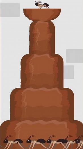 SCP-682 VS SCP-743 (SCP Animation)