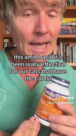 Effective Home Remedies for Cat Dental Disease