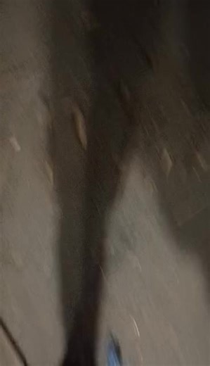 Tweak Tweak on Reels