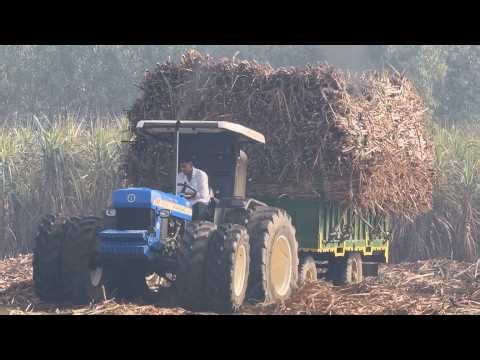 🙄क़्या अपना bulldozer इस trolly कों निकला पाये गा Swaraj engine ￼coming soon 🔜