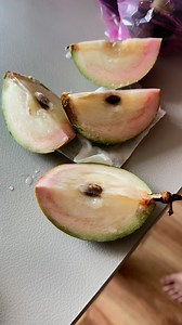 Txiv dab tsi naw | Zoohlub entertainment