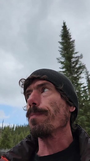 just wanted to share a bit about osha root with you today. I would advise learning about this medicine plant in person from a very experienced individual if you want to harvest it yourself. it has some lookalikes that are deadly toxic and not even really safe to touch. (poison hemlock) hope you enjoy the video,and I am grateful to introduce you to Osha root if you did not already know each other. #britishcolumbia #foraging #osharoot #grattitude #naturevibes