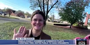 Panola County Chamber of Commerce invites public to decorate community Christmas tree