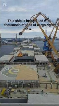 How Bulk Carriers Are Loaded ⚓ Geared vs Gearless Ships