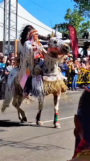 Beautiful horse and rider, and the Gathering of Nations 2026 Horse Parade #indigenous #horse #rider