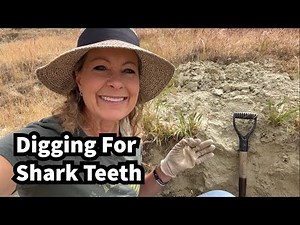 426 - How to dig for shark teeth!