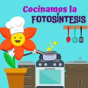 Fotosíntesis: La nutrición de las plantas, para niños ~
