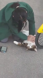 One cat. One chance. One hero. #animalharmony #heroes #smallfavorsscount #rescuecat #kittens | Critter Comedy