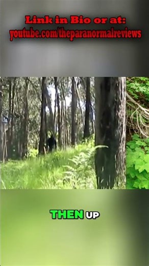 Bigfoot Footage Analysis: Is It Real? #shorts