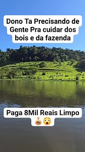 Mato Grosso #reels #reelsviral #nature #explore | Matheus Santos