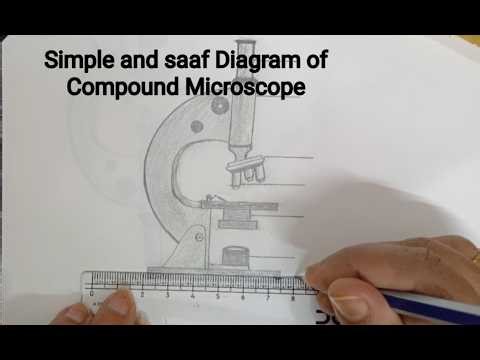 Simple and saaf Diagram of Compound Microscope / Step by step Drawing for Beginners/ How to Draw