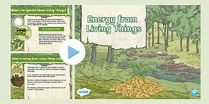 Energy from Living Things PowerPoint