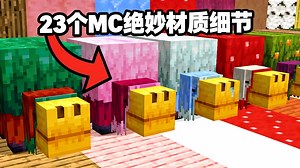【中配】我的世界应该加入这些精妙材质细节 - Skip the Tutorial