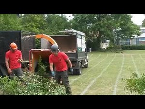 Tree Monkey Tree Services