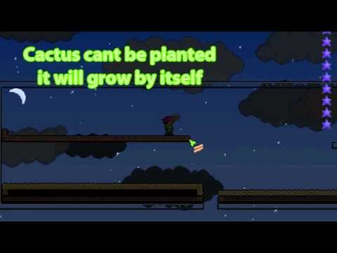 Terraria guide - Cactus Farm with style (Cactuar Pixel Art)
