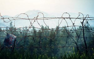 CROWZ官方预告片