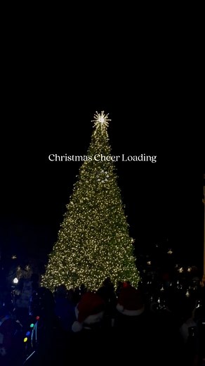 We're officially kicking off the holiday season in Franklin, Tennessee, tomorrow night (December 6) at our annual Downtown Christmas Tree Lighting—you DON'T want to miss this! 🎄✨ . . #FranklinTN #VisitFranklinTN #ChristmasinFranklin | Visit Franklin, TN