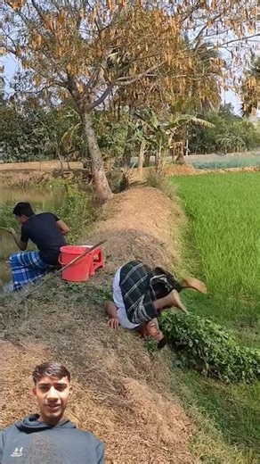 Building Wooden Log Cabin in Forest 🌲 | Survival House Step by Step” AV- 419