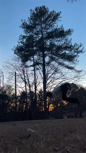 My best quadrobics jump :D #furry #therian #alterhuman #quadrobics