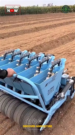 Amazing Garlic Seed Sowing Machine