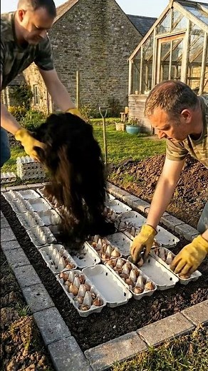 The Egg Carton Gardening Hack: Perfect Tulips Every Spring! 🌷
