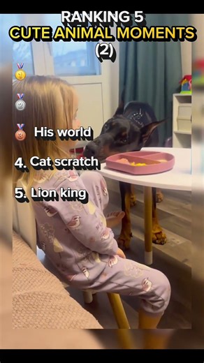 Ranking 5 cute animal moments (2)