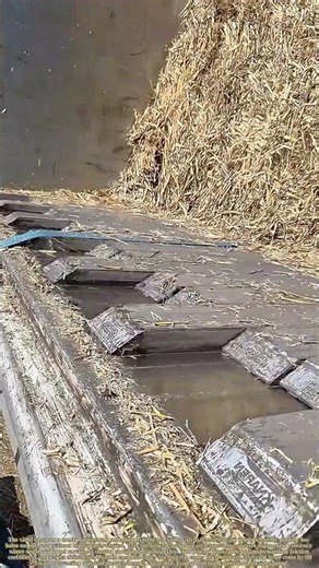 Sliding Sustenance: How Self-Unloading Beds Revolutionize Forage Transport