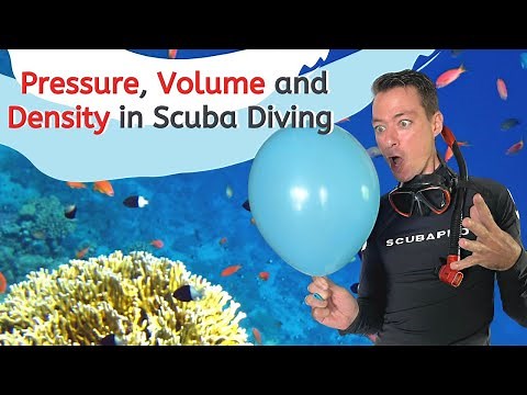 Scuba Diving Pressure Explained for Beginner Scuba Divers