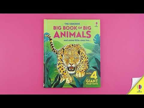 Big Book of Big Animals