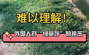 我们画饼充饥，国外人画草求“绿”，可以考虑下相关脑洞产品了-亚马逊选品|跨境电商|AMAZON