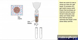 Gel filtration chromatography on Make a GIF
