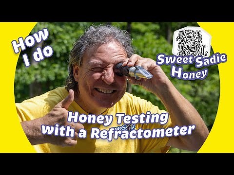 How I Do: Honey Testing with a Refractometer