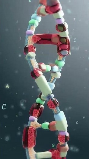 What does Vitamin B12 actually do?