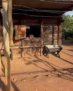 30K views · 687 reactions | Cuando ves que se acerca tu comida en el restaurante  Créditos: Sheldrick Wildlife Trust | Bioguia | Facebook