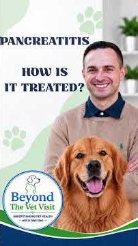 How Is Pancreatitis in Dogs Treated?