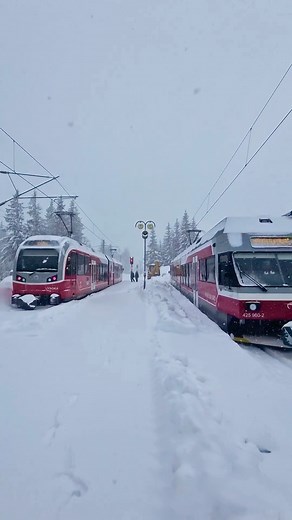 The highest located railway station in Slovakia fully occupied by electric trains @zssk_official 🚋 Video by @makbedrik | This Is Slovakia