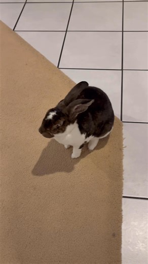 38K views · 2.5K reactions | This is another one of our beloved...