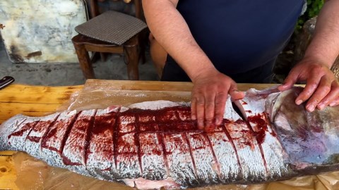 How villagers bake a huge fish in salt