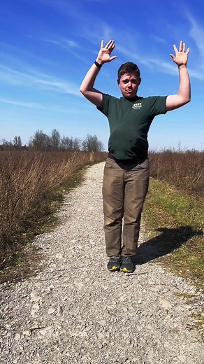 The American woodcock, aka the timberdoodle, performs an elaborate “sky dance” to impress mates. #birds #nature #americanwoodcock