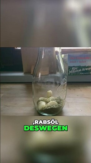Köstliches Knoblauchöl Rezept einfach und Aromatisch