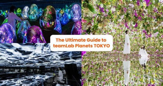 The Ultimate teamLab Planets TOKYO Guide: What to See and Do, How to Get Tickets, & More - Klook Travel Blog