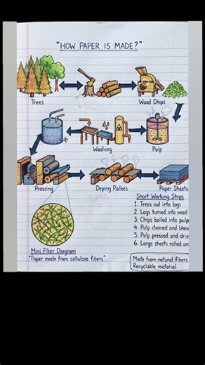 How paper is made #learning #explore #facts #science #didyouknow #education