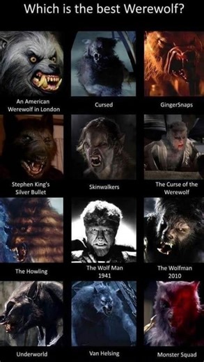 arris_quinones on Instagram: "Which is the best werewolf here? #Horror #HorrorMovies #Werewolf #Halloween"